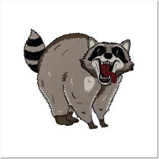 Raccoon Posters and Art